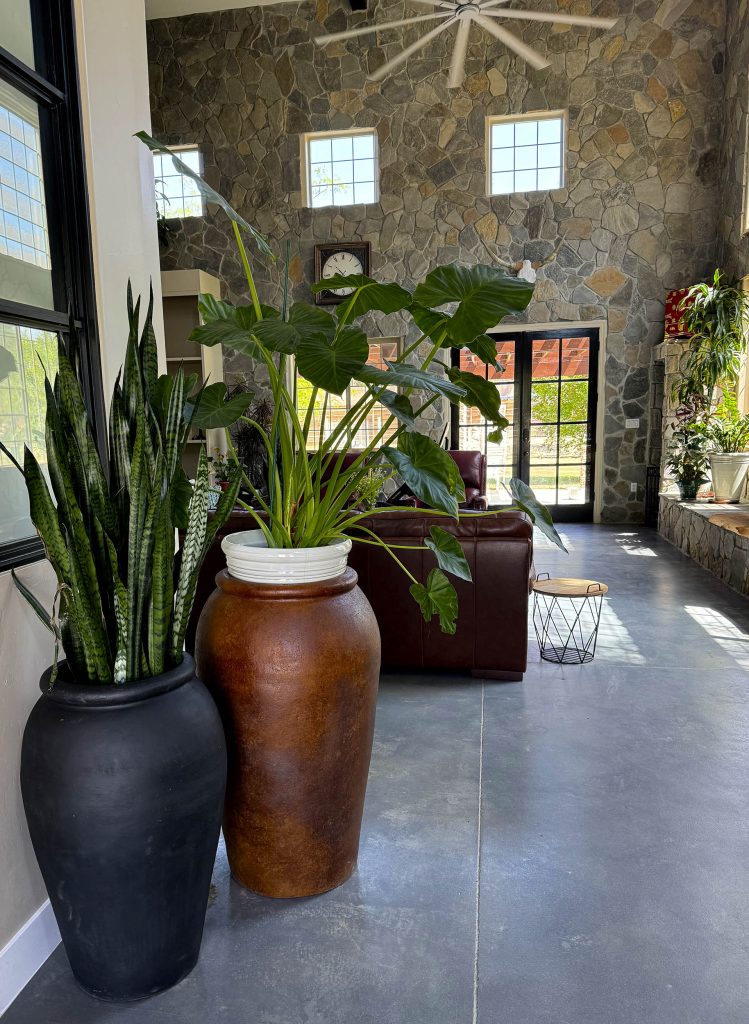 moseley-interior-designer-bakersfied-large-planter
